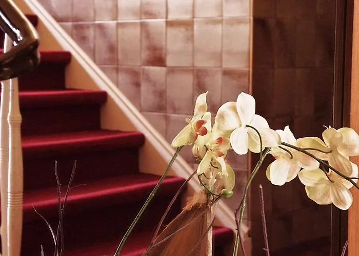 肯且司特登纳霍夫酒店 多尔马根